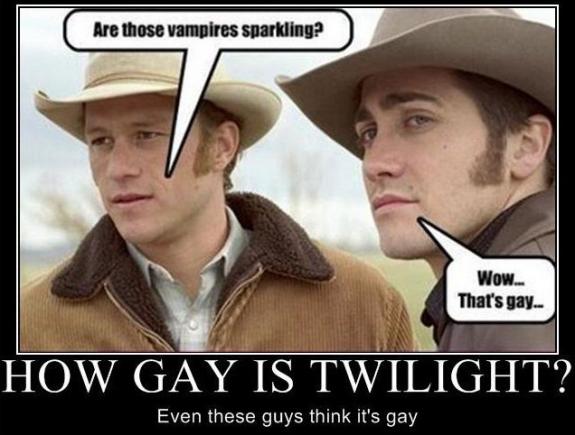 Twilight Gay 117